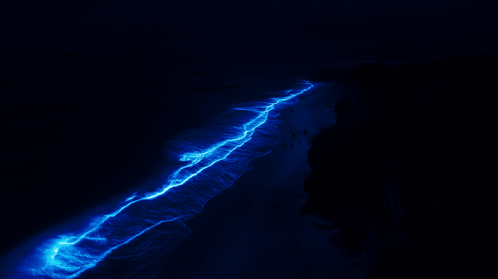 Waves of Light